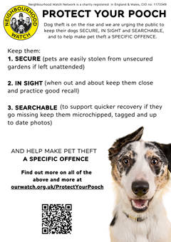 protect-your-pooch-poster-1-png